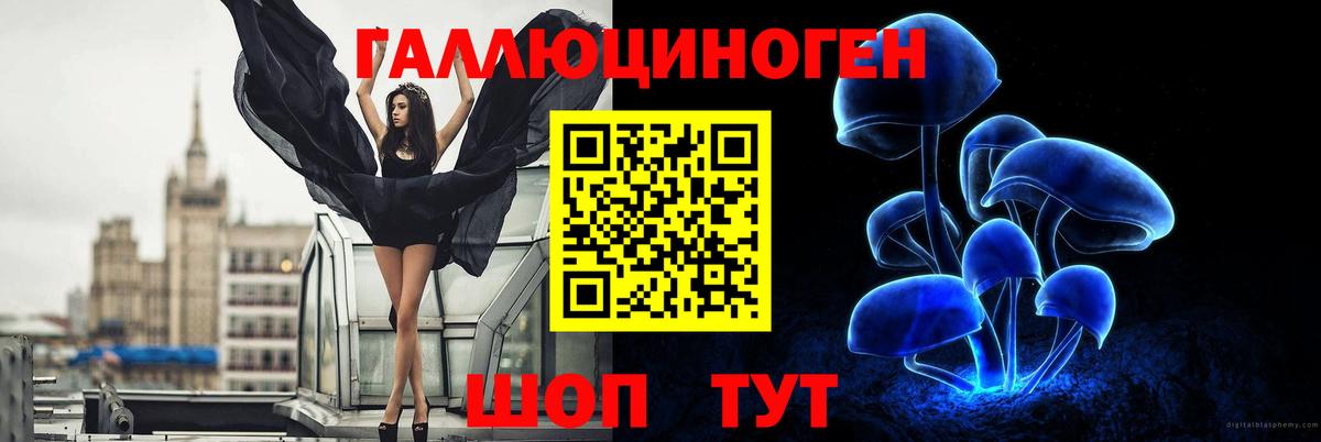 Псилоцибиновые грибы мицелий Вичуга