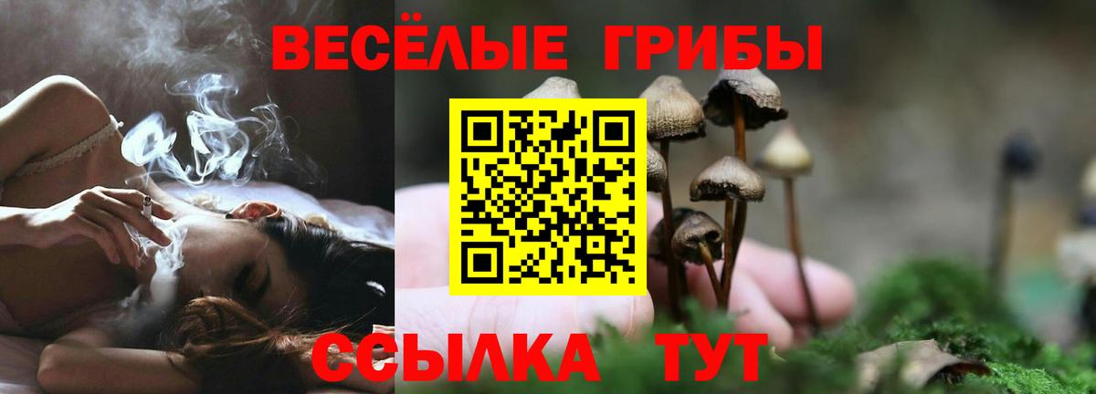 Галлюциногенные грибы прущие грибы  Вход с VPN  Вичуга 